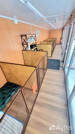 Зоогостиница для собак