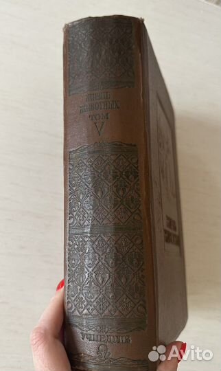 Энциклопедия Жизнь животных 1941 год