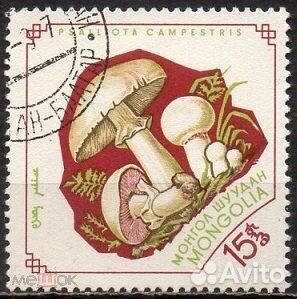 Марки флора фауна