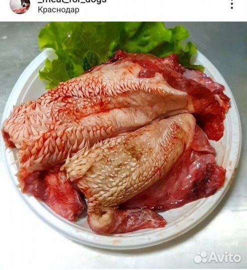 Мясо для собак