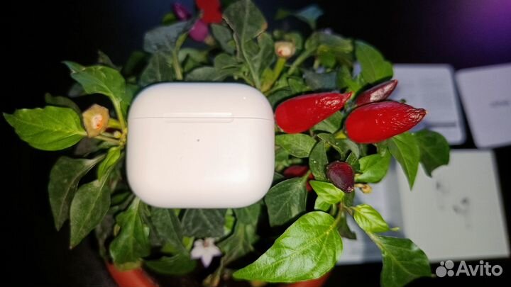 AIr pods 3