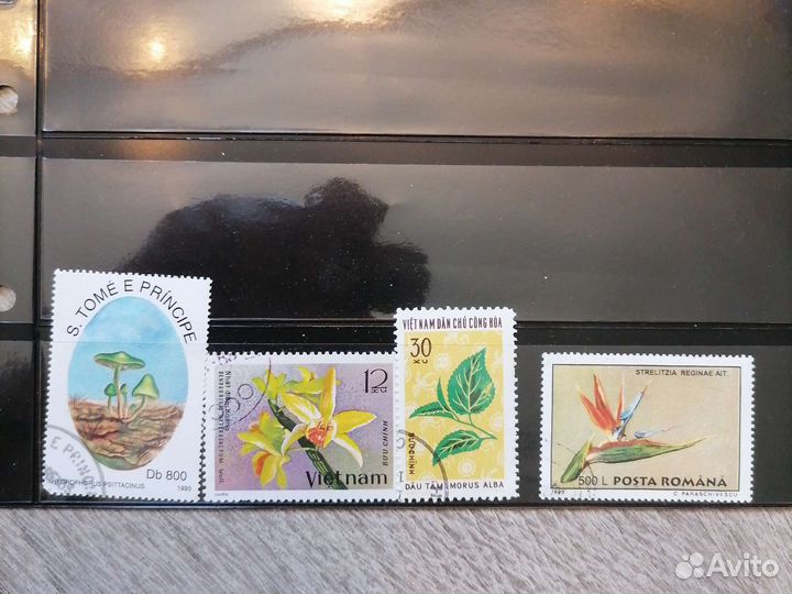 Меожество старых и редких марок