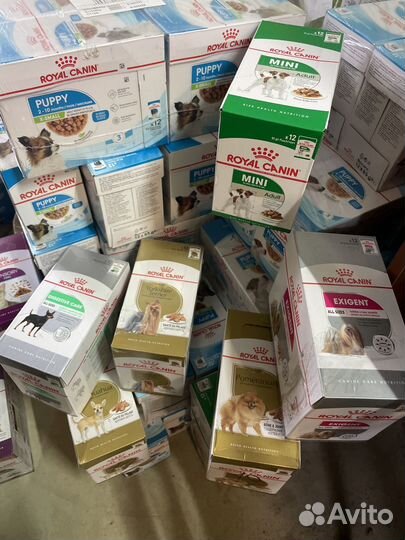 Корм для собак роял канин паучи Royal Canin