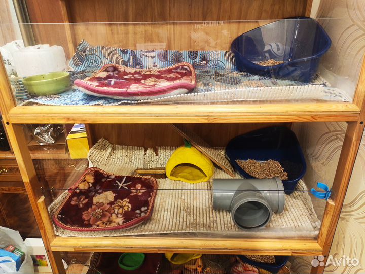 Стеллаж для морских свинок