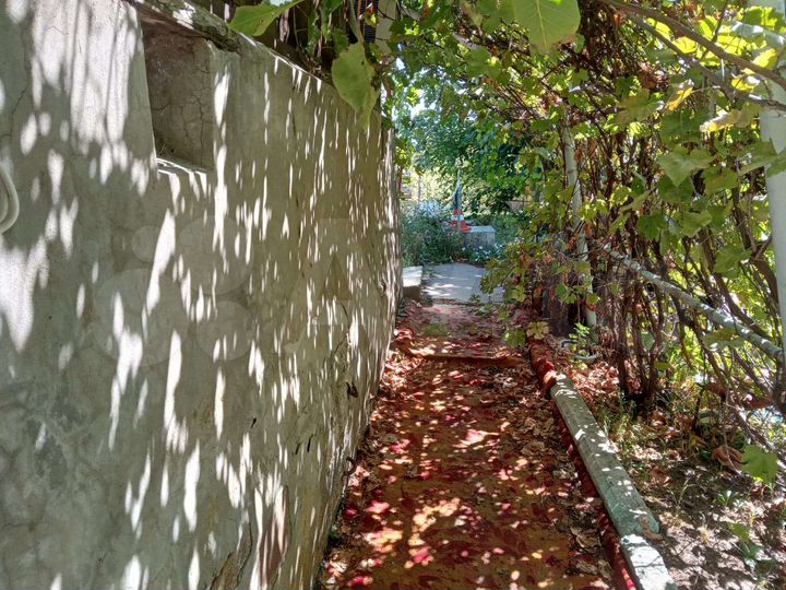 Дача 20 м² на участке 12 сот.