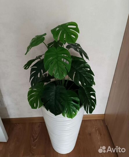 Монстера#искусственное растение новое