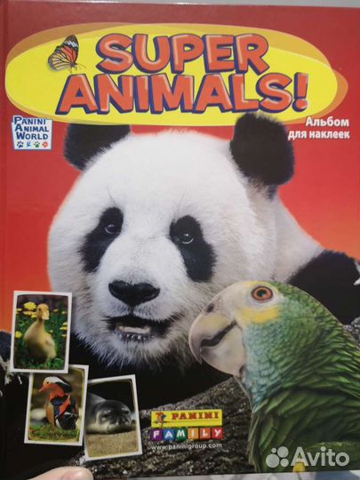 Наклейки Super Animals