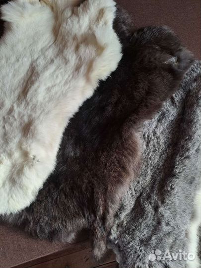 Шкурки кролика