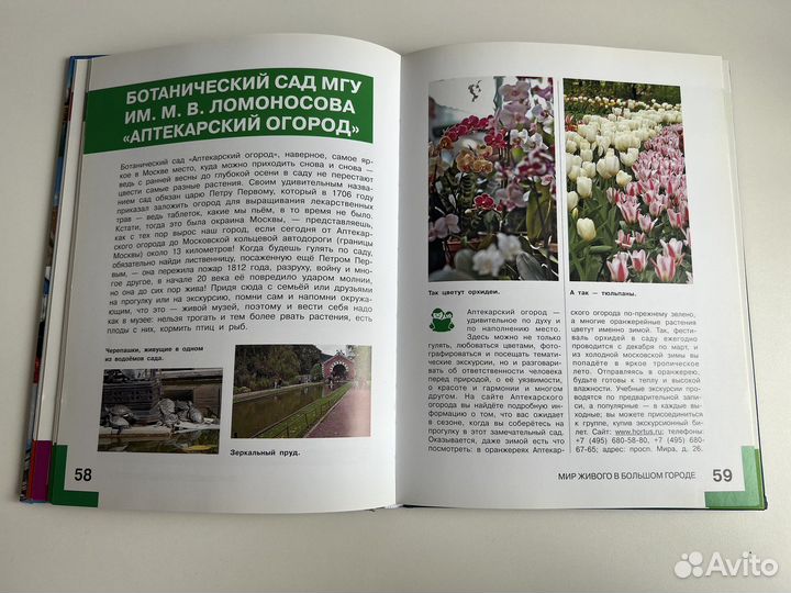 В Москве интересно