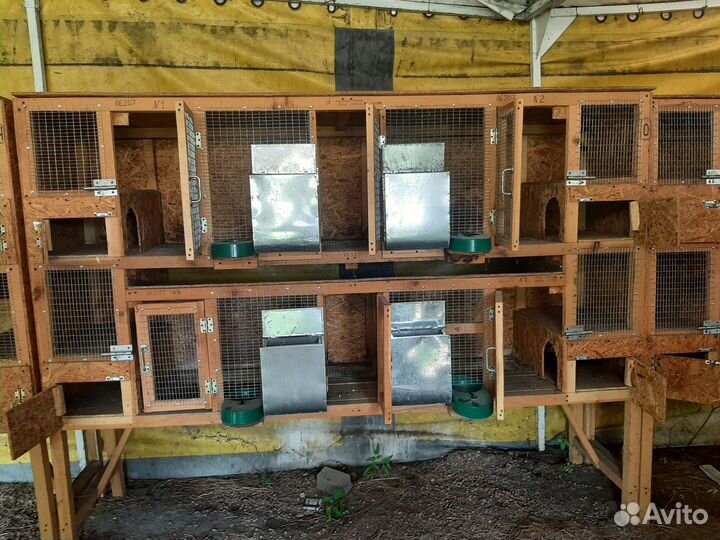 Клетки для кроликов С маточниками Б/У