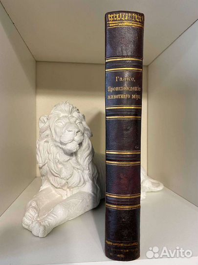 Гааке, В. Происхождение животного мира. 1902