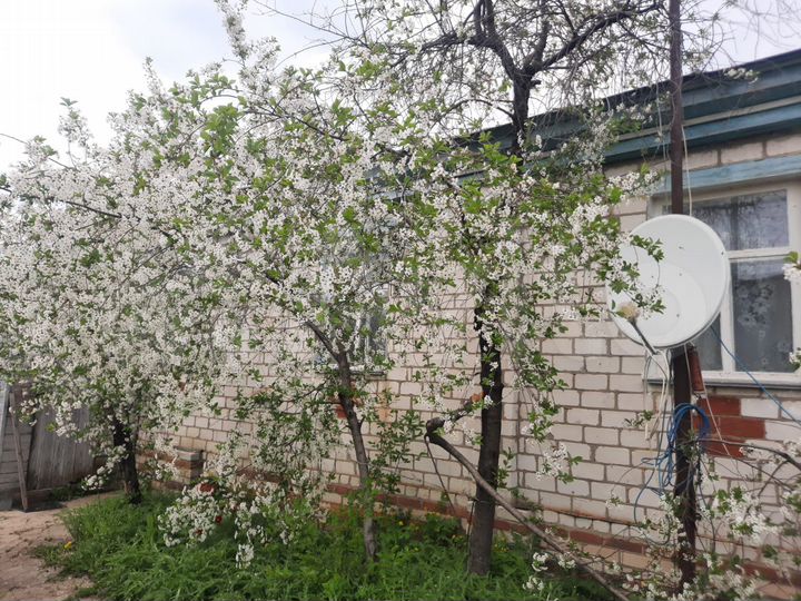 Дом 106 м² на участке 9 сот.