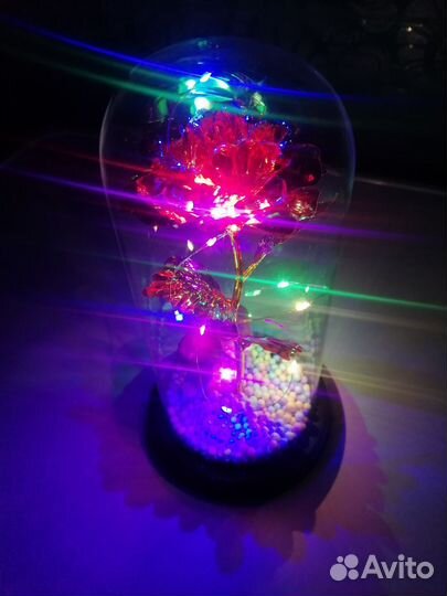 Мишки с Фигурками в колбе с вечной Розой