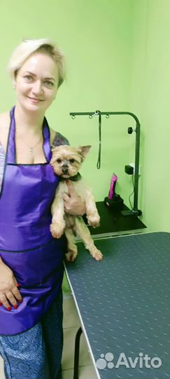 Грумерские услуги