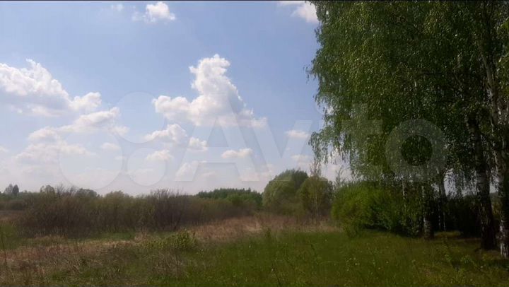 Участок 5,55 га (ИЖС)