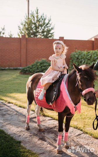 Лошади и пони на праздник