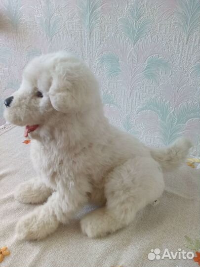 Собака интерактивная, Хасборо, оригинал