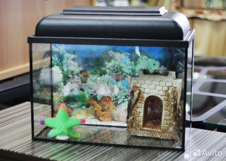 Аквариумы с крышками. Террариумы. Тумбы под аквари