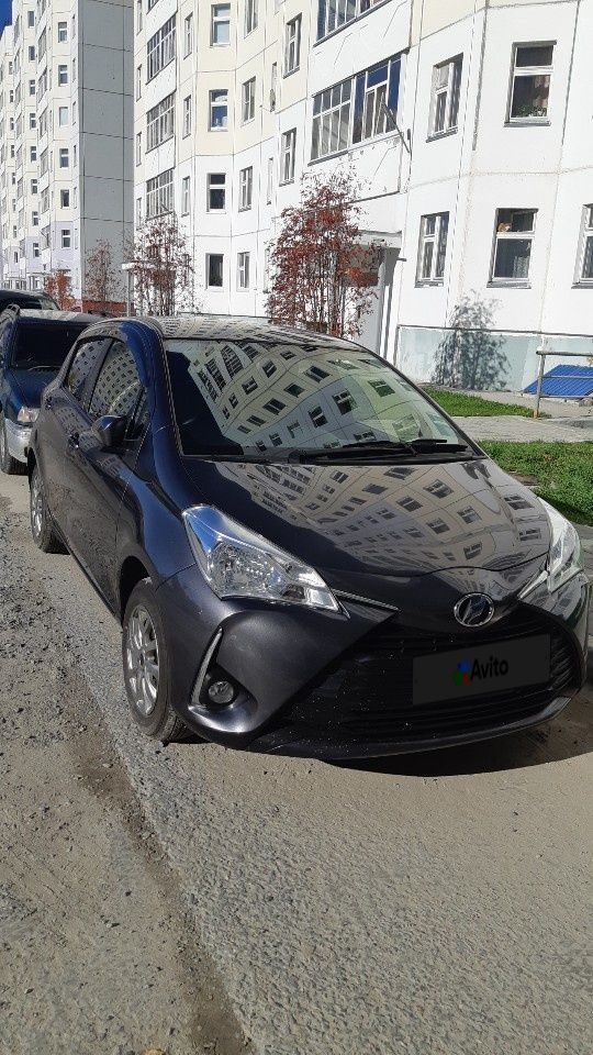 Toyota Vitz: фото владельца