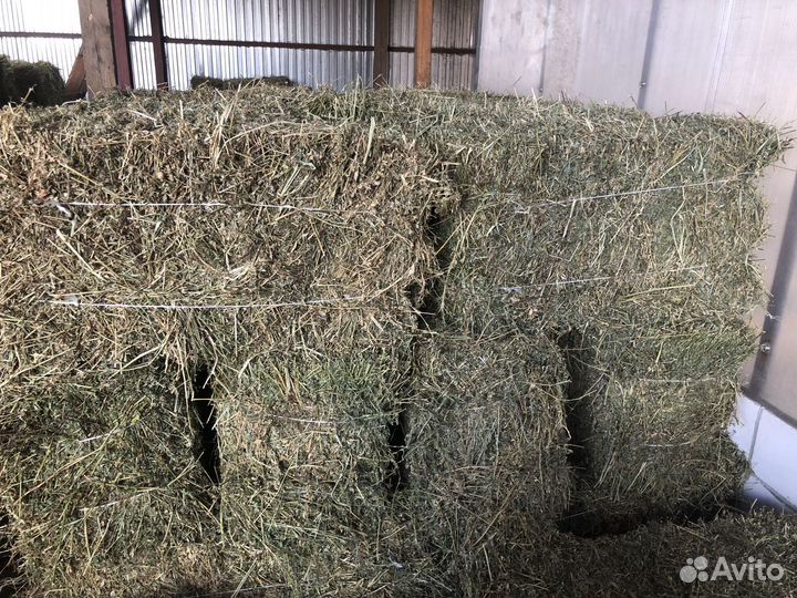 Сено разнотравье от 50 шт