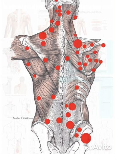 Миофасциальный массаж
