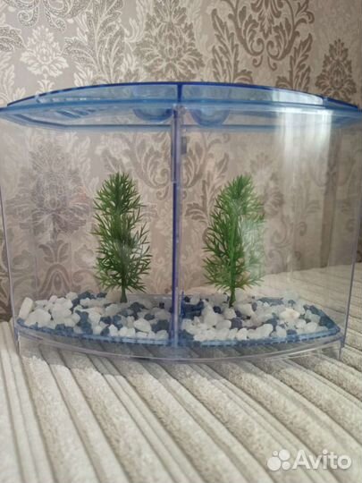 Аквариум