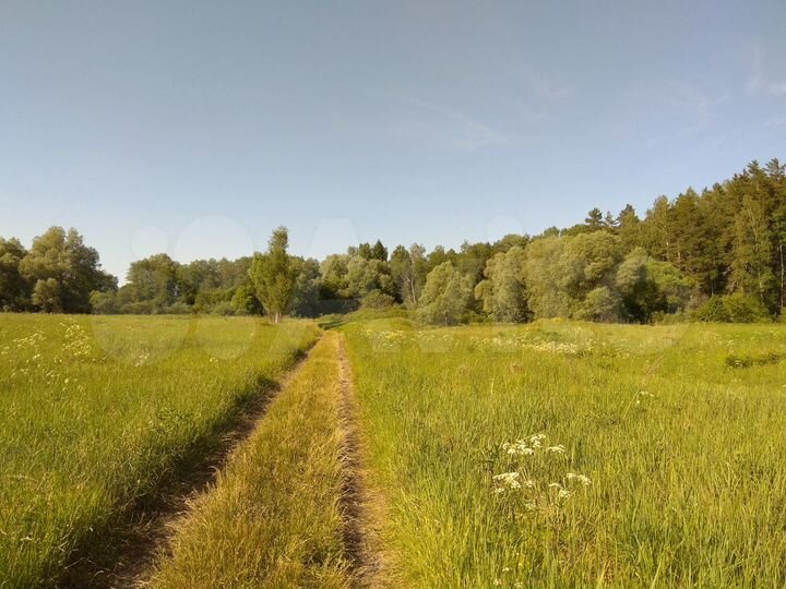 Участок 3 га (ИЖС)