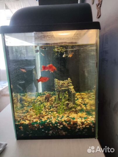 Украшение для аквариума