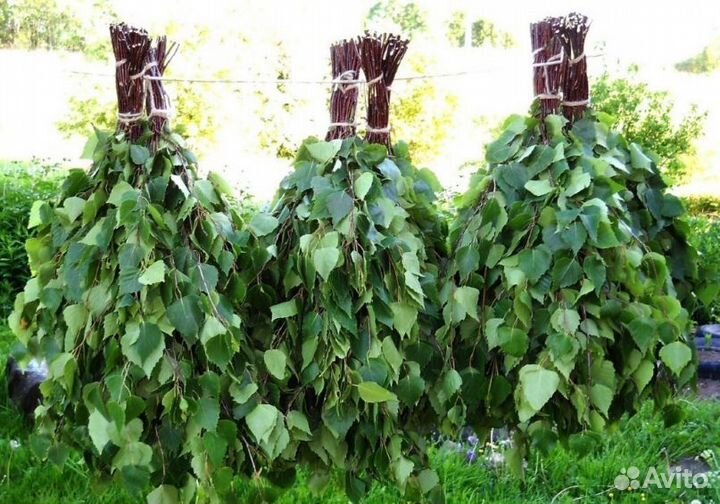 Веники для бани