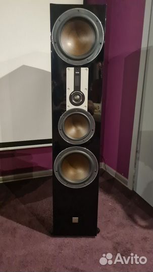 Dali opticon 8