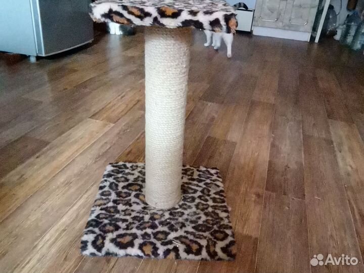 Когтеточка 110см,лотки,домики для животных