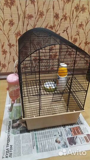 Клетка для грызунов бу