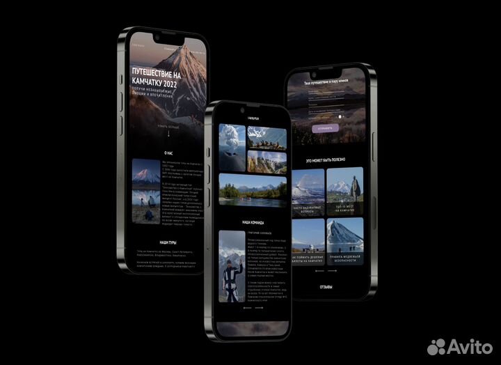 Web дизайнер