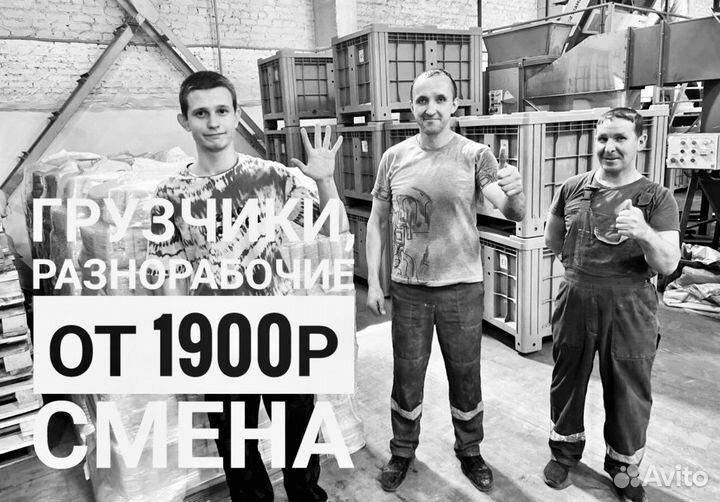 Разнорабочие оплата ежедневная