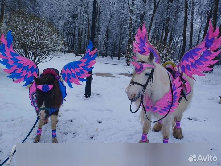 Олени упряжки, лошади, пони