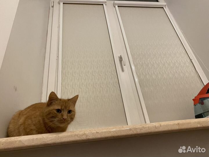 Рулонные шторы