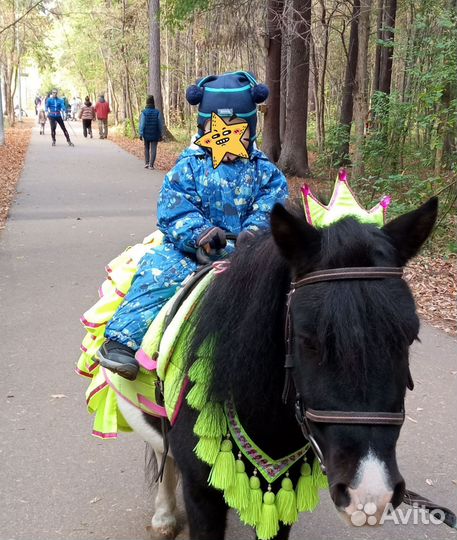 Шапка шлем демисезонная бизи beezy р 1