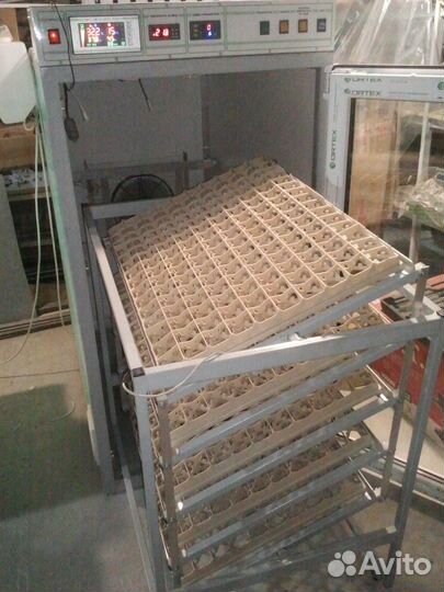 Инкубатор для птицы на 750 куриных яиц