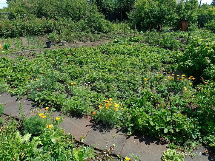 Дача 12 м² на участке 5 сот.