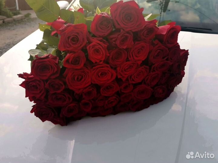 Букет роз. Розы опт