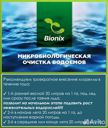 Хлорелла для водоёма