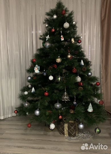 Елка с шишками «Царь Елка»