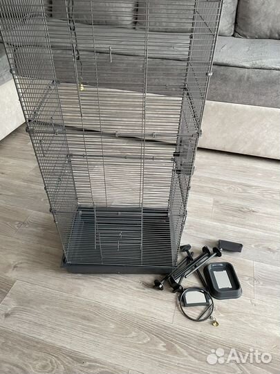 Попугай с клеткой