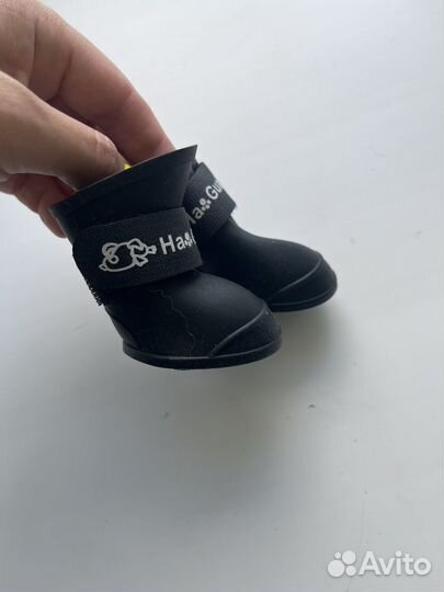 Лоток, слинг и др для мелких собак