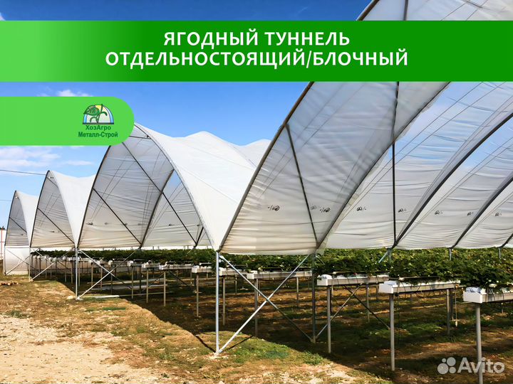 Ягодный туннель (промышленный)