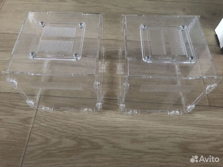 Формикарии арены