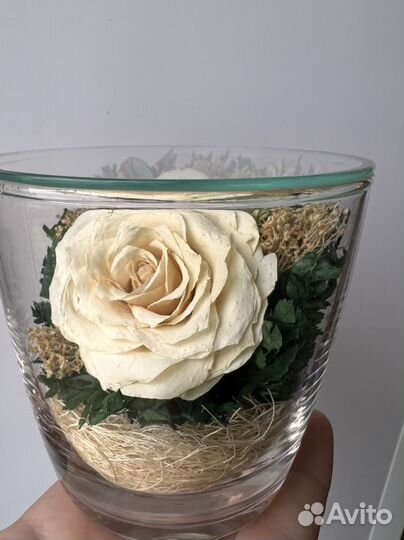 Стабилизированные цветы