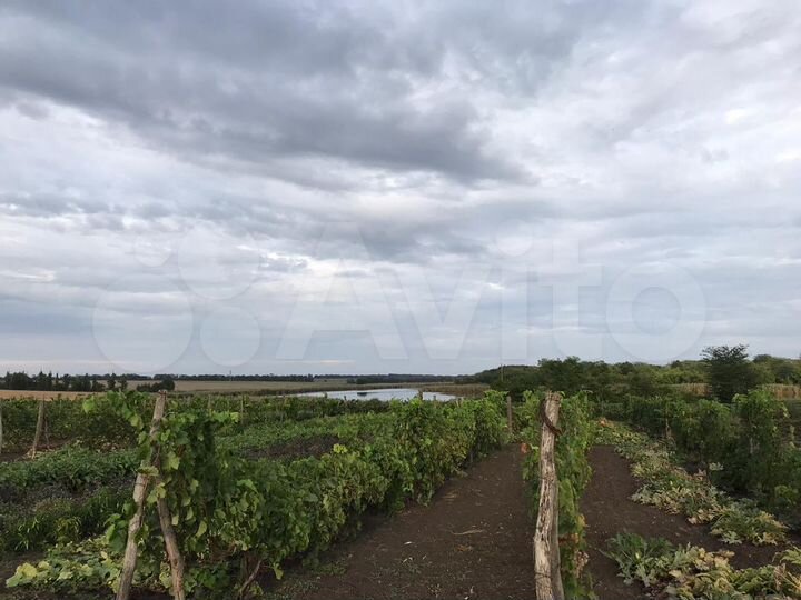 Участок 100 сот. (ИЖС)