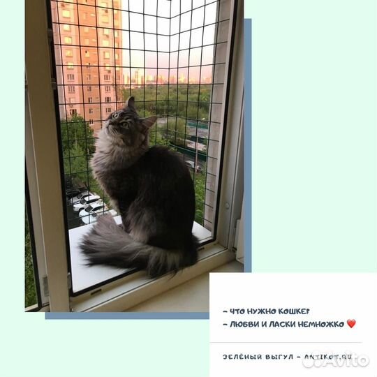 Сетки на окна антикошка