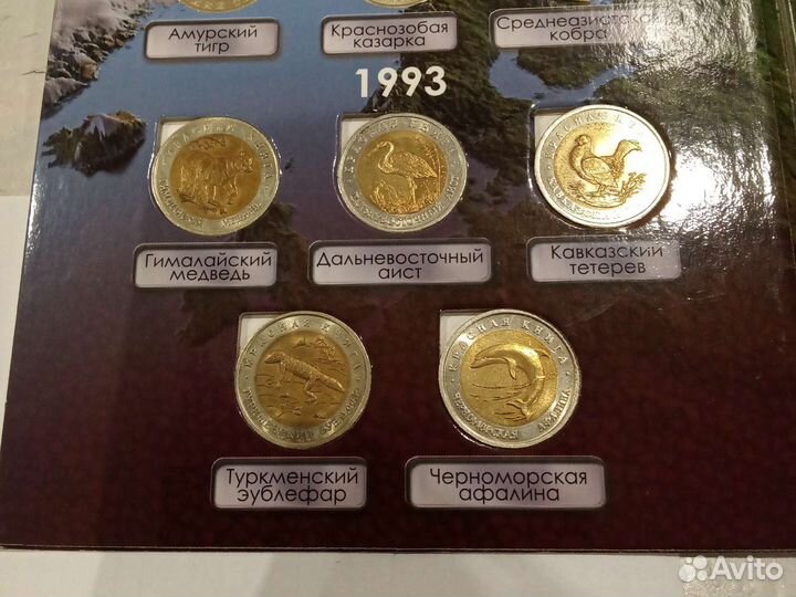 Красная книга